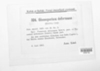 Gloeosporium deformans image